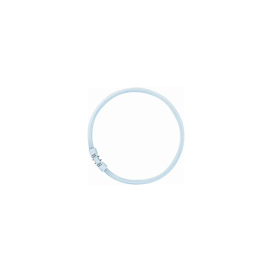 4050300528489