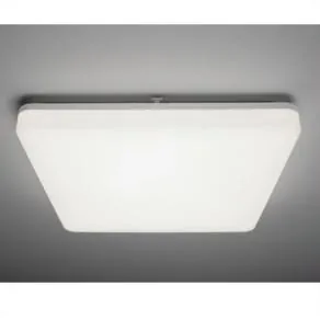 501-q4019150