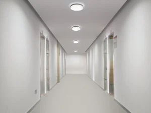 Moltoluce 2024