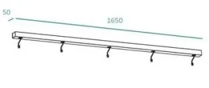 Teconex 2024