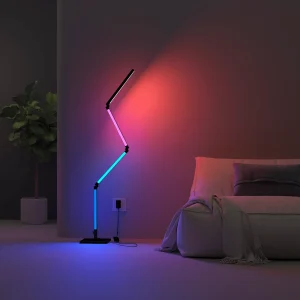 Calex 2025