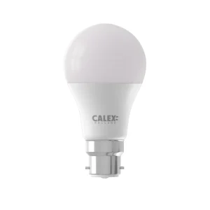 Calex 2025