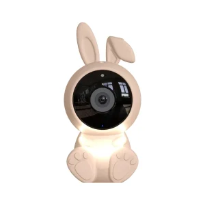 Calex 2025