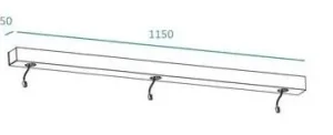 Teconex 2024