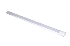 Teconex 2024